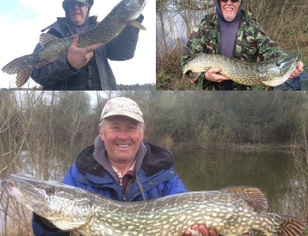 What's being caught here - 9, 14 & 16lb pike for Colin T and Spud. spring 2016