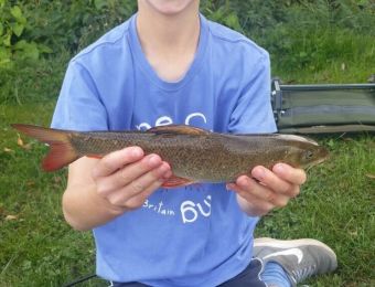What's being caught here - I caught my first ever barbel weighing 2lb 7oz at Fladbury on the river Avon. I caught it on three maggots on a maggot feeder initially targeting chub, September 2017. Charlie Noke.