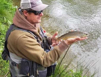Aberbechan brown trout