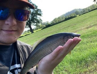 Catches - More Forden grayling.
