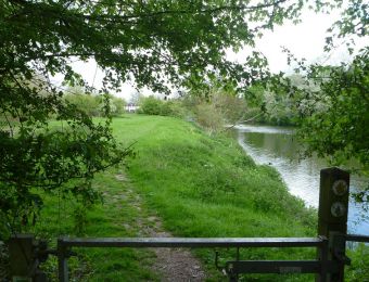 58 - View to Grimley fishery