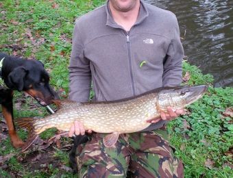 What's caught here - pike Dec 2015