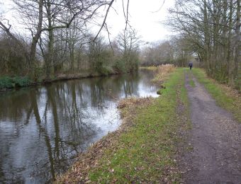 Coventry Canal 06