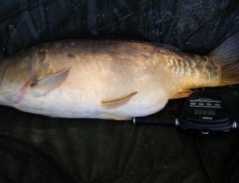 What's being caught here. Kev Smith's 22lb Mirror, new PB. May 2016