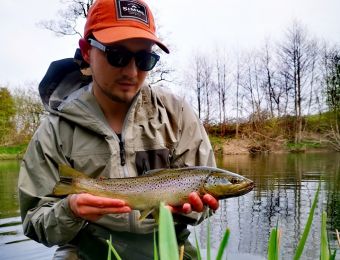 Penarth brown trout